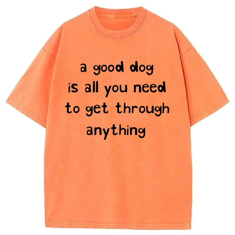 A Good Dog Is All You Need To Get Through Anything Washed Unisex Tee