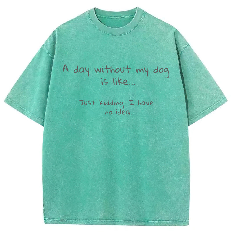 A Day Without My Dog Is Like... Washed Unisex Tee