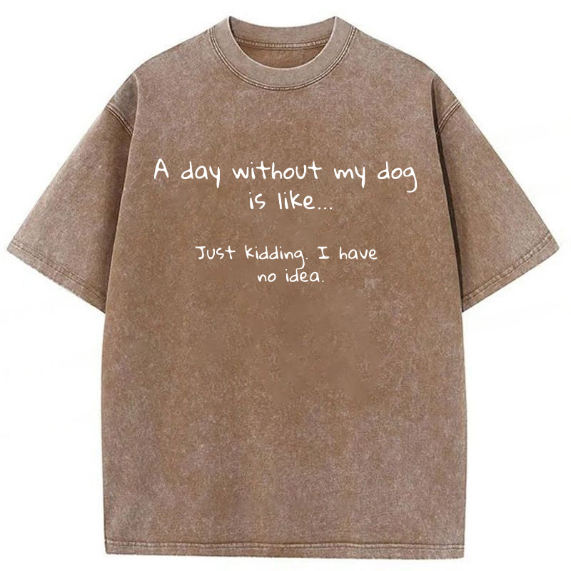 A Day Without My Dog Is Like... Washed Unisex Tee