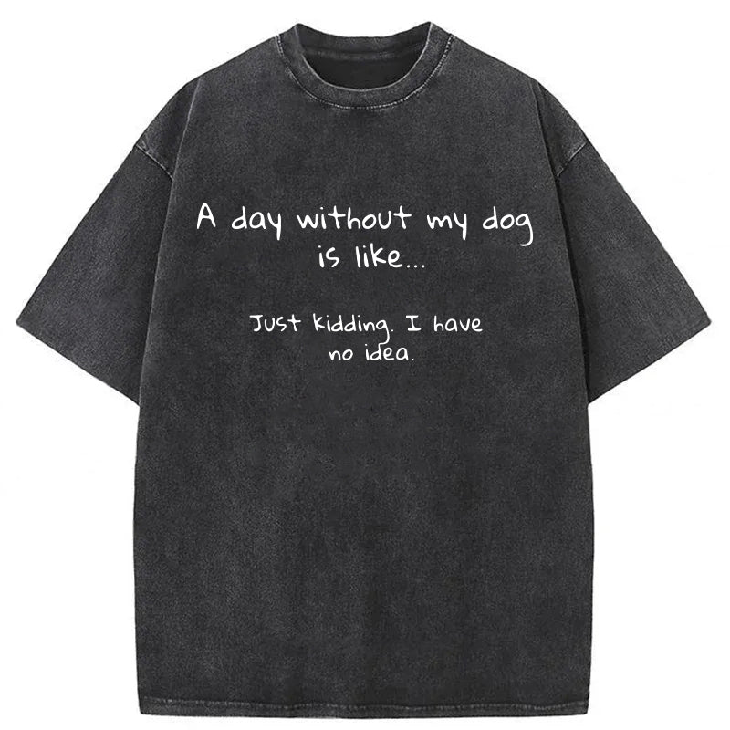 A Day Without My Dog Is Like... Washed Unisex Tee