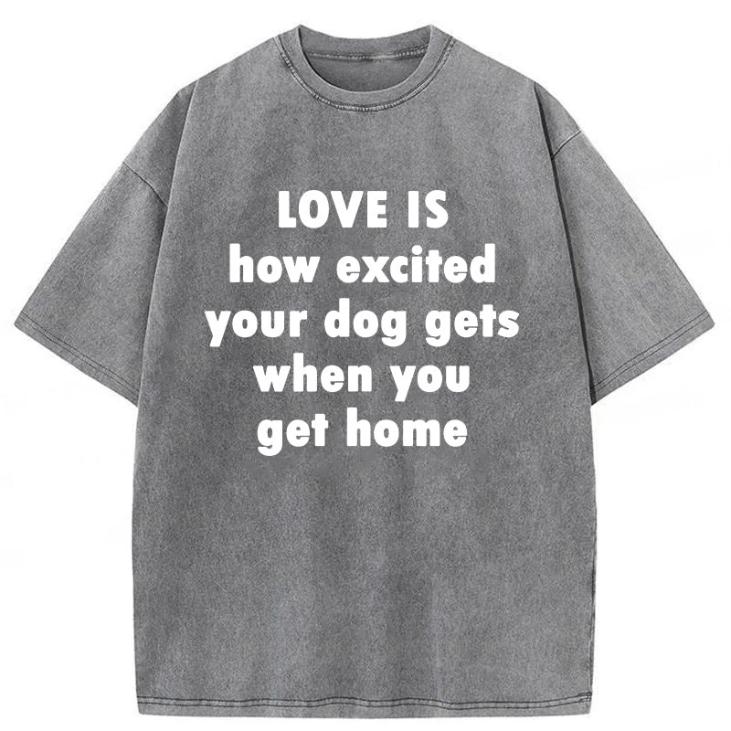 Love Is How Excited Your Dog Gets When You Get Home Washed Unisex Tee