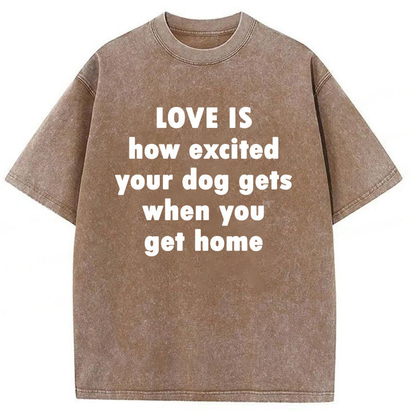 Love Is How Excited Your Dog Gets When You Get Home Washed Unisex Tee