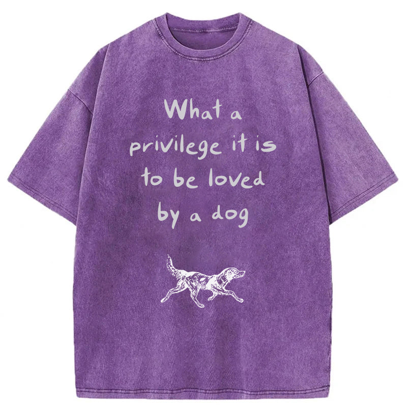 What A Privilege It Is To Be Loved By A Dog Washed Unisex Tee