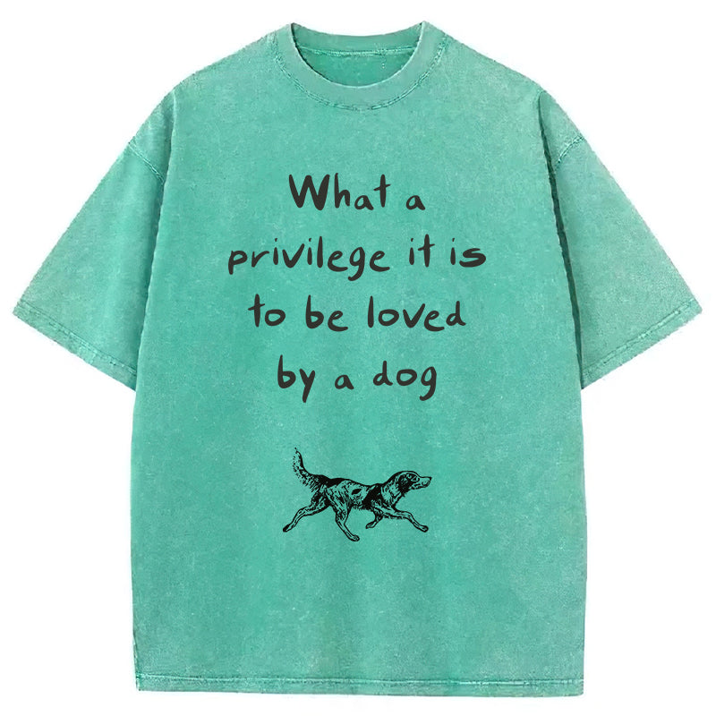 What A Privilege It Is To Be Loved By A Dog Washed Unisex Tee