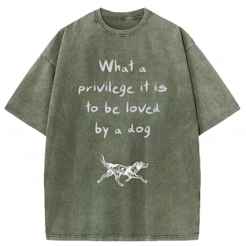 What A Privilege It Is To Be Loved By A Dog Washed Unisex Tee