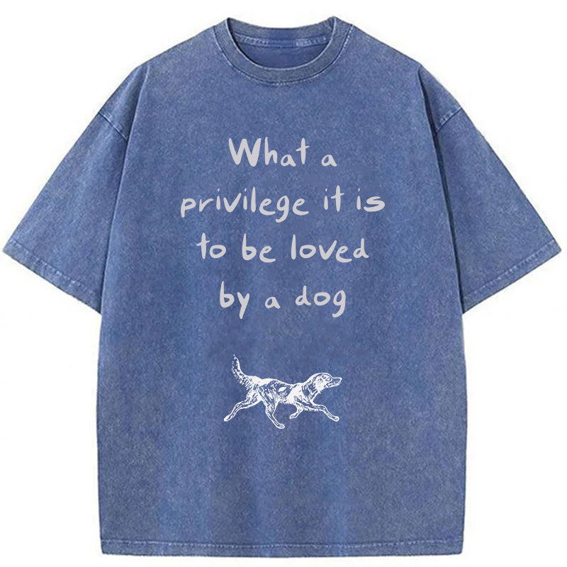 What A Privilege It Is To Be Loved By A Dog Washed Unisex Tee