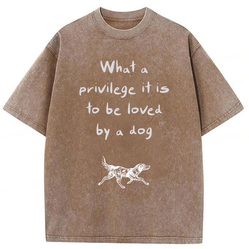 What A Privilege It Is To Be Loved By A Dog Washed Unisex Tee