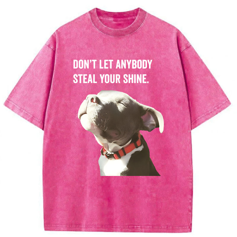 Don't Let Anybody Steal Your Shine Washed Unisex Tee