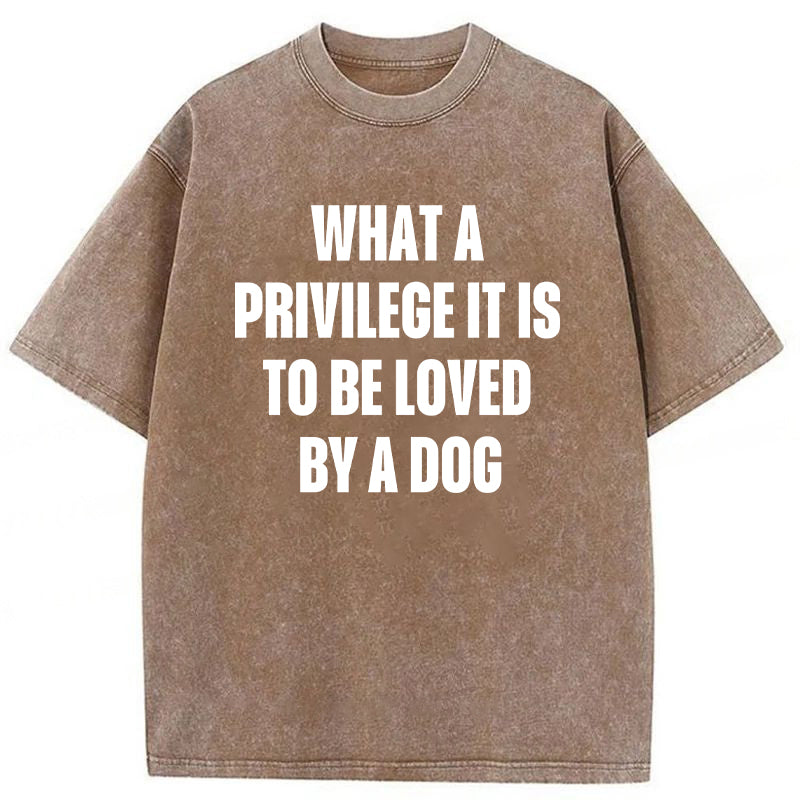 What A Privilege It Is To Be Loved By A Dog Washed Unisex Tee