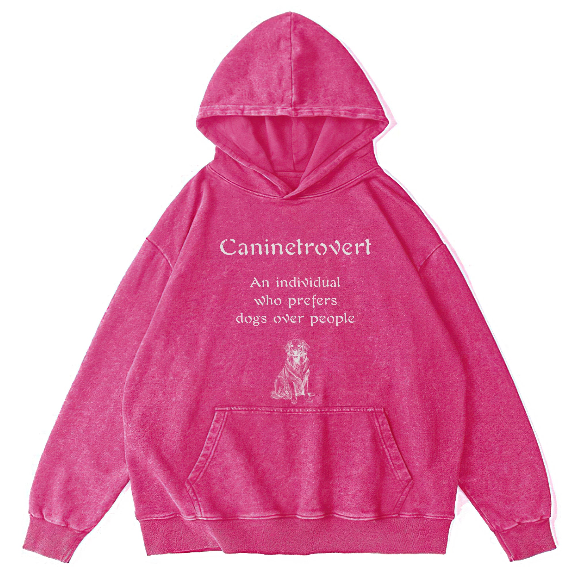 Caninetrovert Washed Unisex Hoodie