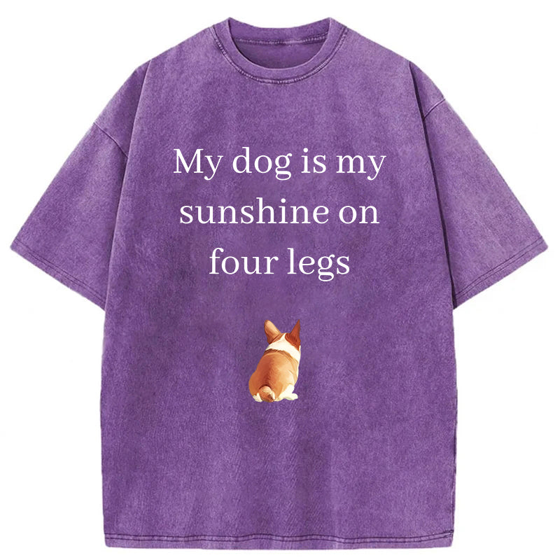 My Dog Is My Sunshine On Four Legs Washed Unisex Tee