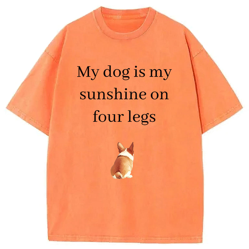 My Dog Is My Sunshine On Four Legs Washed Unisex Tee