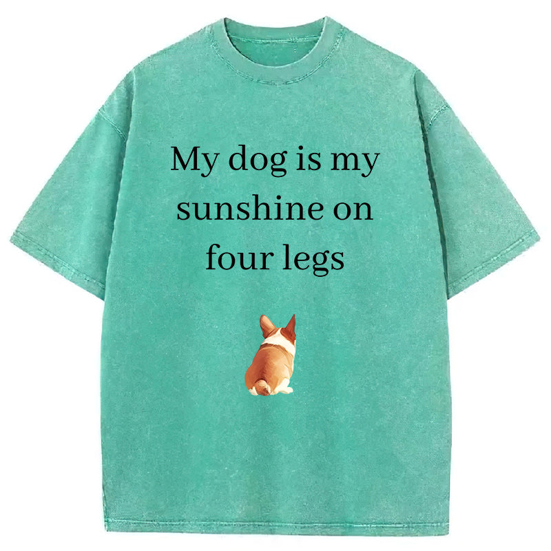 My Dog Is My Sunshine On Four Legs Washed Unisex Tee