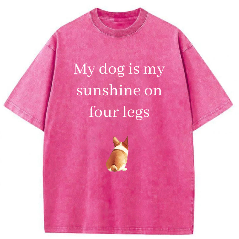 My Dog Is My Sunshine On Four Legs Washed Unisex Tee