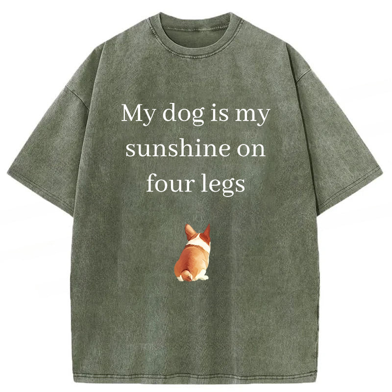 My Dog Is My Sunshine On Four Legs Washed Unisex Tee