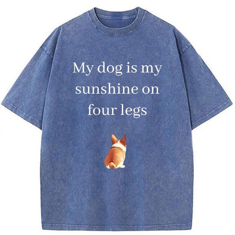 My Dog Is My Sunshine On Four Legs Washed Unisex Tee