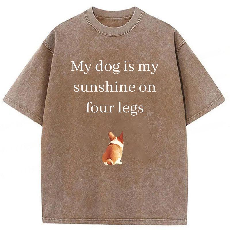 My Dog Is My Sunshine On Four Legs Washed Unisex Tee