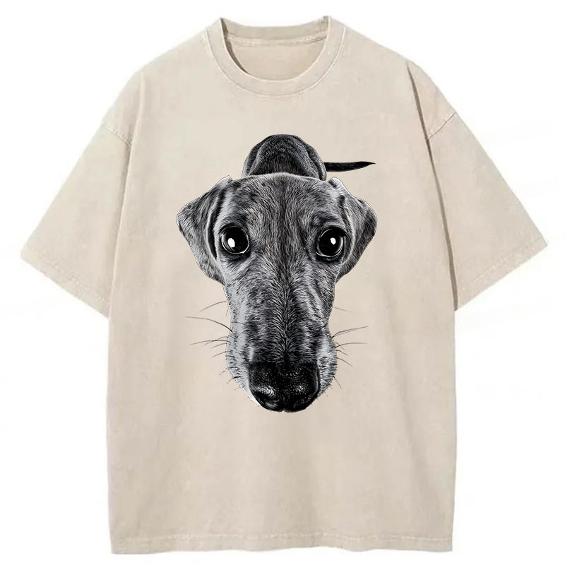 Funny Dachshund Washed Unisex Tee