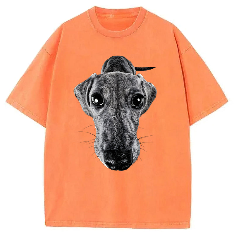 Funny Dachshund Washed Unisex Tee