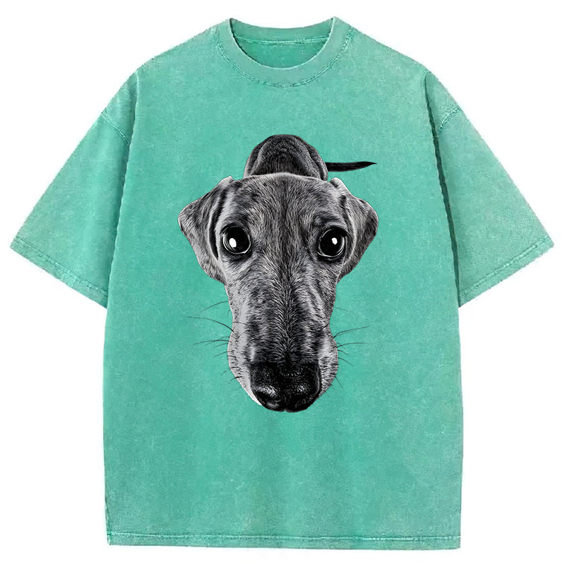 Funny Dachshund Washed Unisex Tee