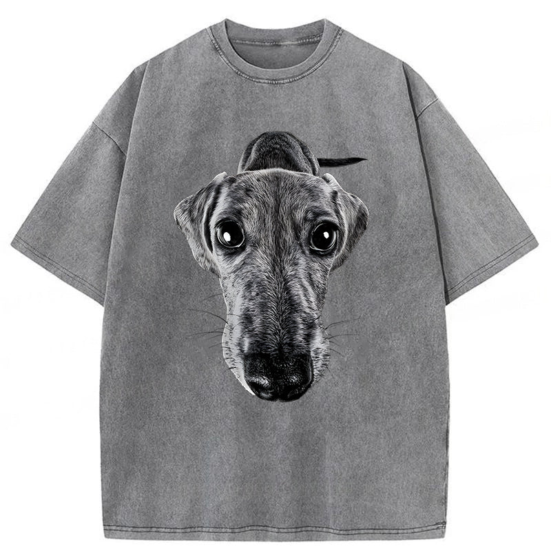 Funny Dachshund Washed Unisex Tee
