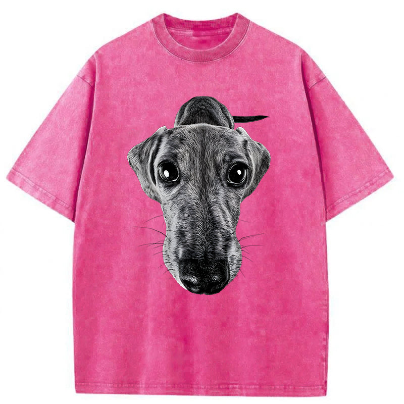 Funny Dachshund Washed Unisex Tee