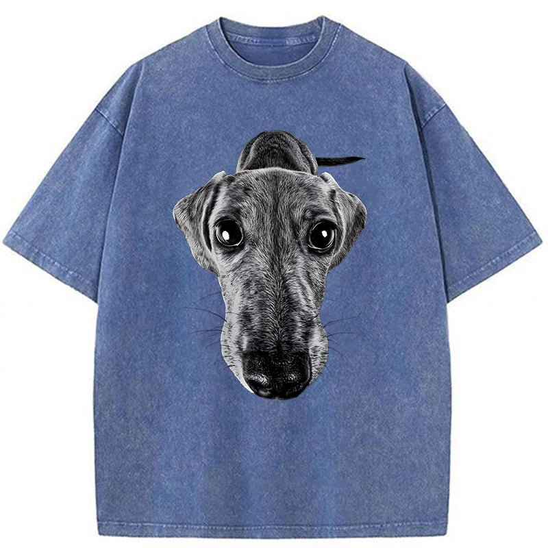 Funny Dachshund Washed Unisex Tee