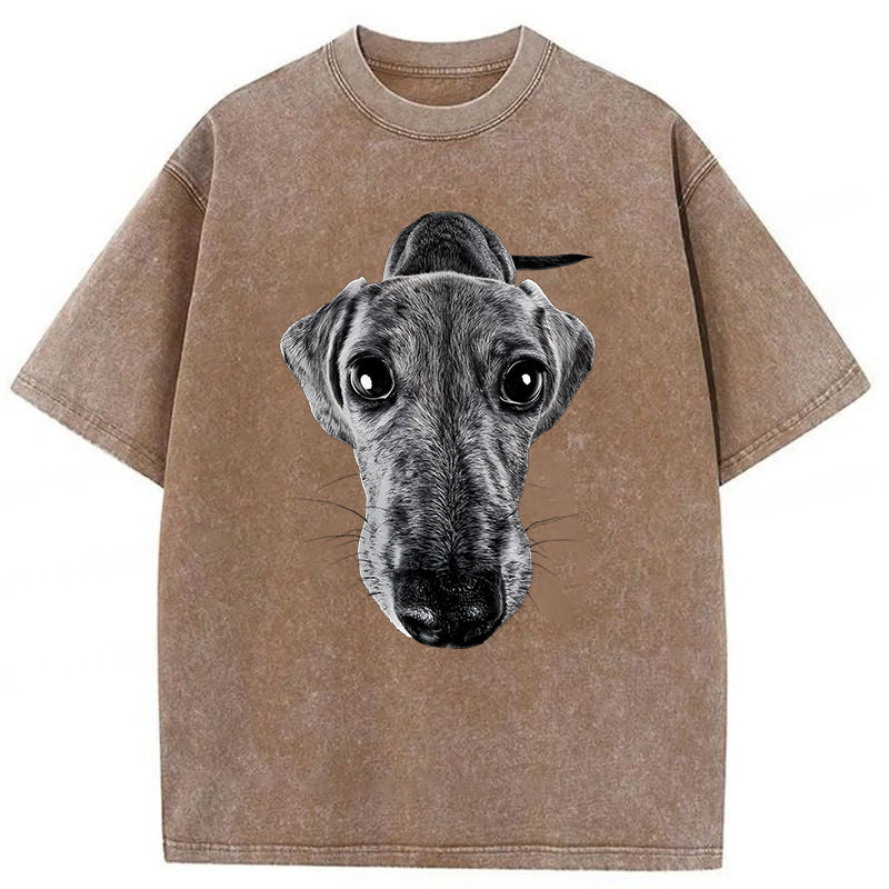 Funny Dachshund Washed Unisex Tee