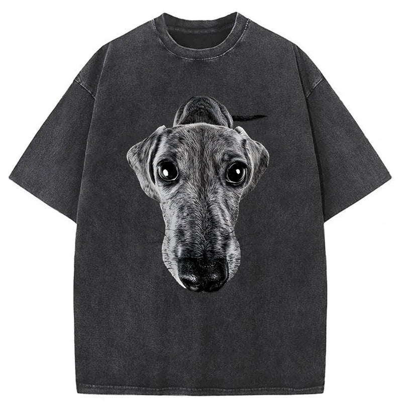 Funny Dachshund Washed Unisex Tee