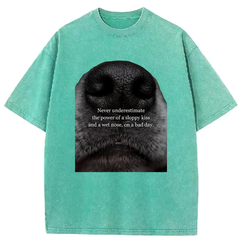 The Power Of A Sloppy Kiss Washed Unisex Tee