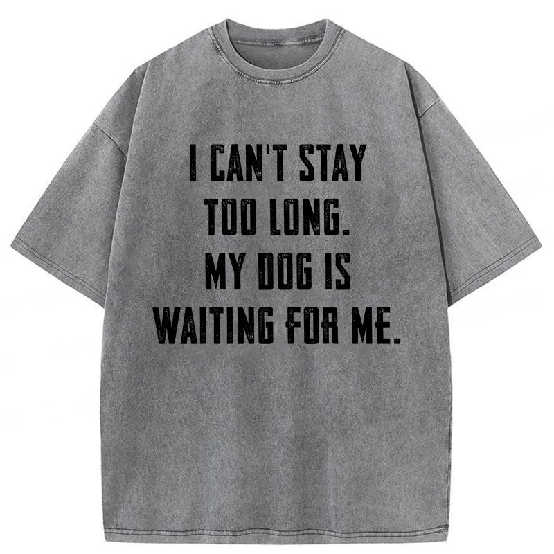 My Dog Is Waiting For Me Washed Unisex Tee