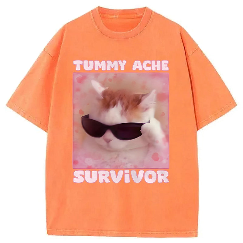 Tummy Ache Survivor Funny Cat Meme Washed Unisex Tee