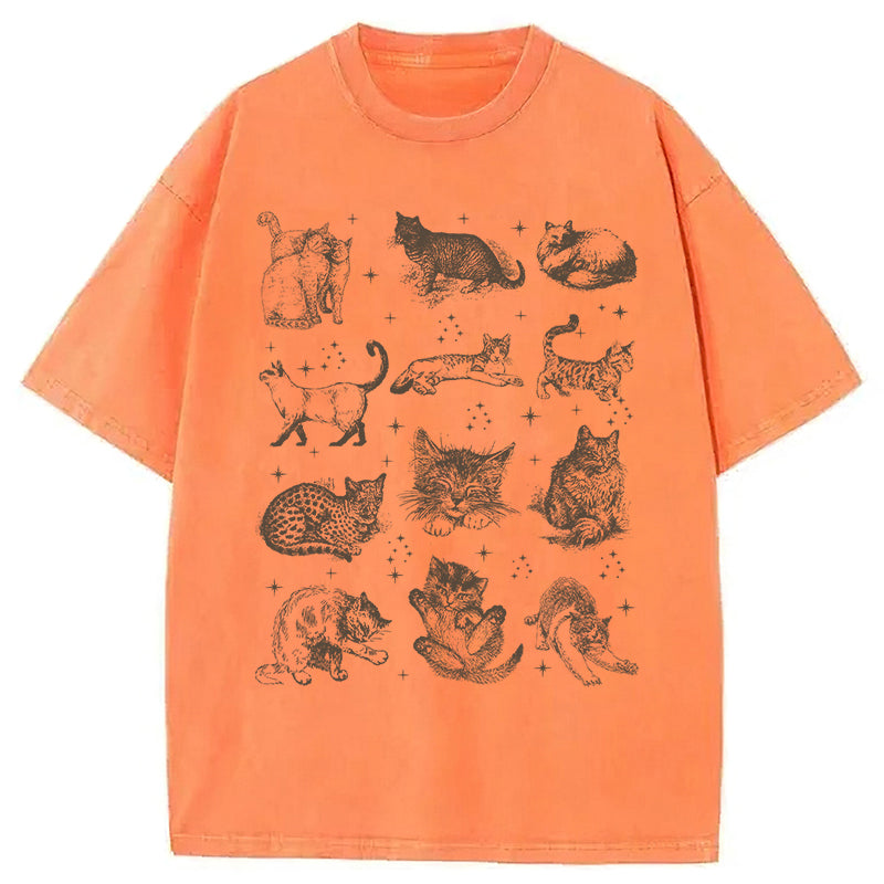 Y2k Kitten Washed Unisex Tee