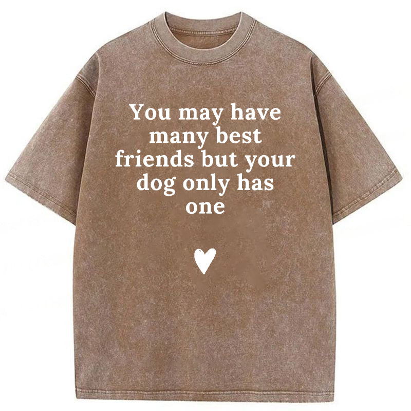 You May Have Many Best Friends But Your Dog Only Has One Washed Unisex Tee
