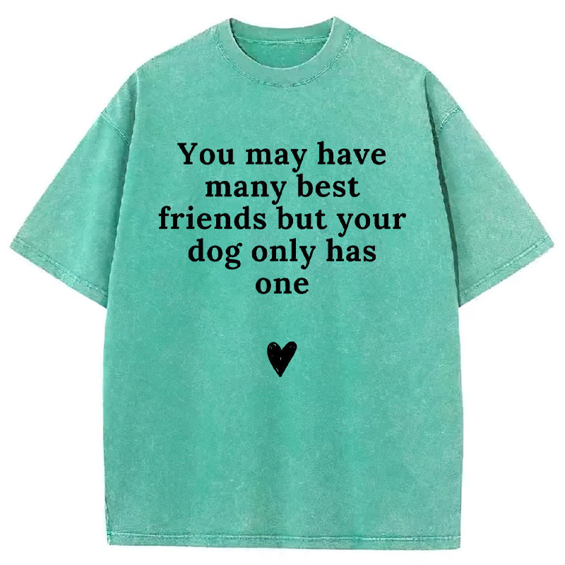You May Have Many Best Friends But Your Dog Only Has One Washed Unisex Tee