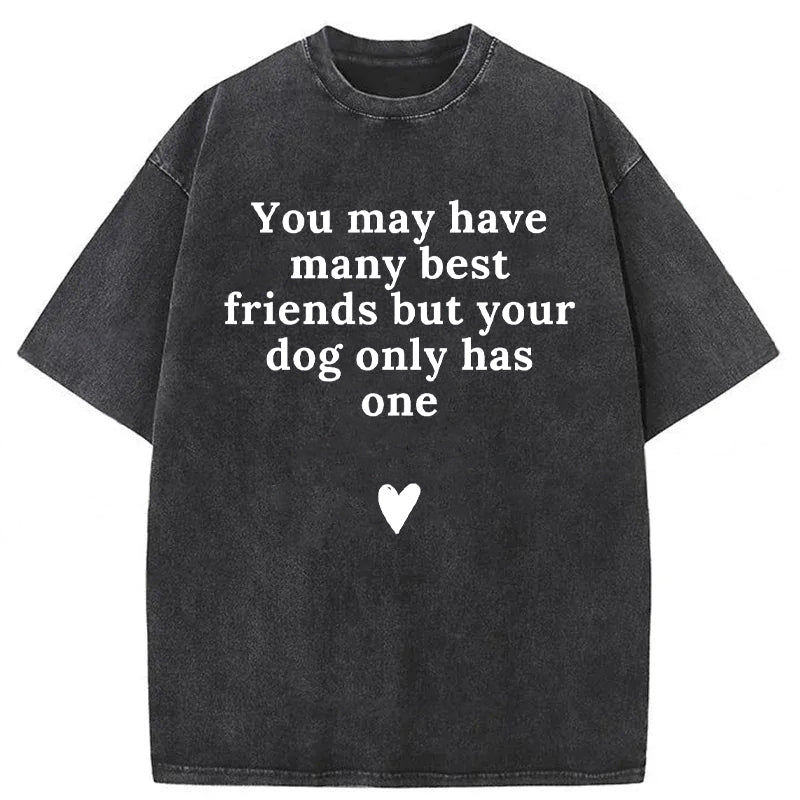 You May Have Many Best Friends But Your Dog Only Has One Washed Unisex Tee