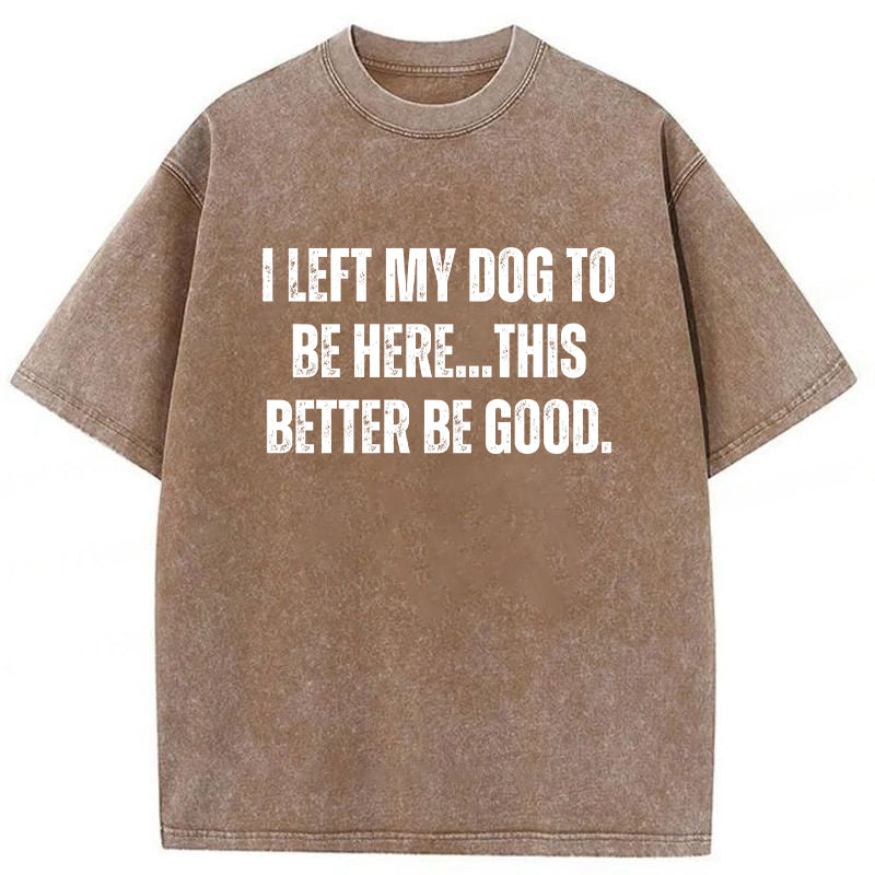 I Left My Dog To Be Here This Better Be Good Washed Unisex Tee