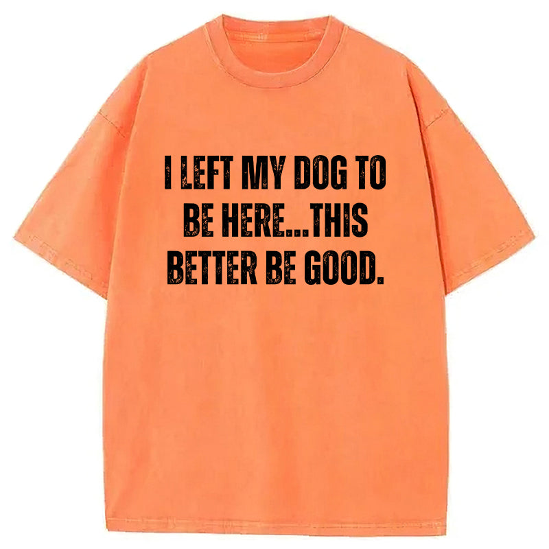 I Left My Dog To Be Here This Better Be Good Washed Unisex Tee