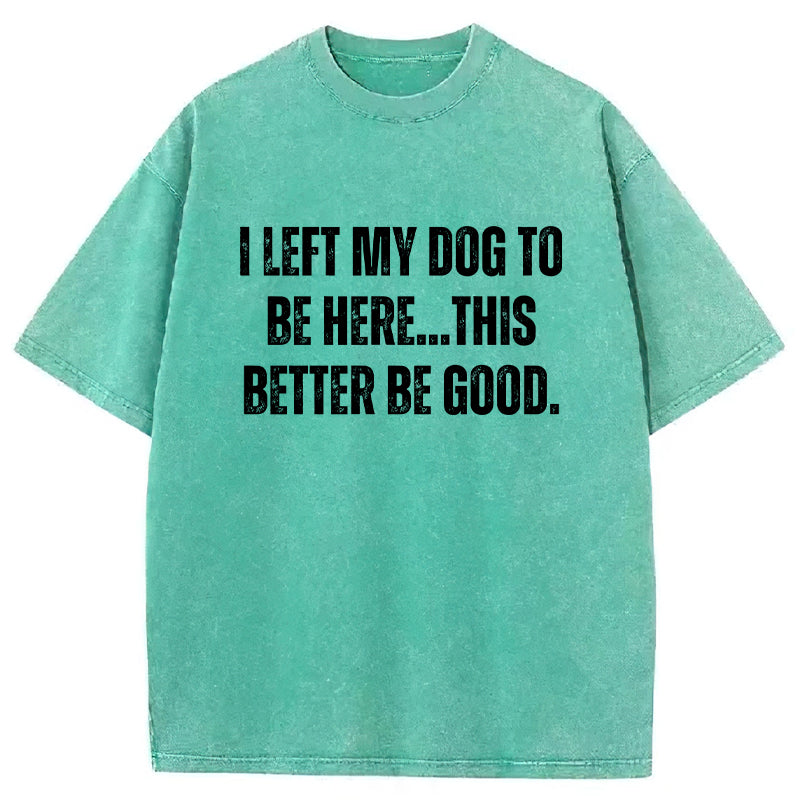 I Left My Dog To Be Here This Better Be Good Washed Unisex Tee