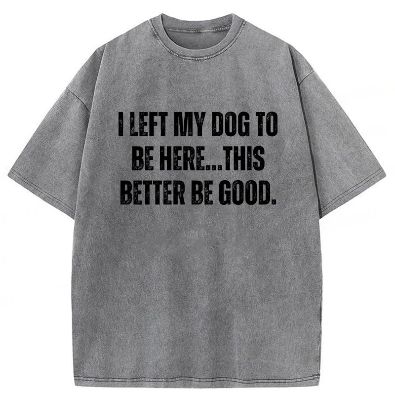 I Left My Dog To Be Here This Better Be Good Washed Unisex Tee