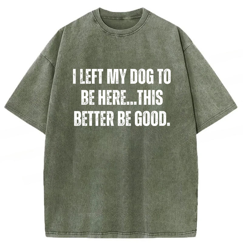 I Left My Dog To Be Here This Better Be Good Washed Unisex Tee