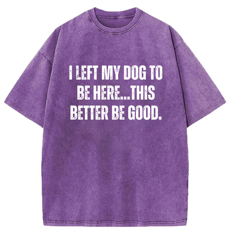 I Left My Dog To Be Here This Better Be Good Washed Unisex Tee