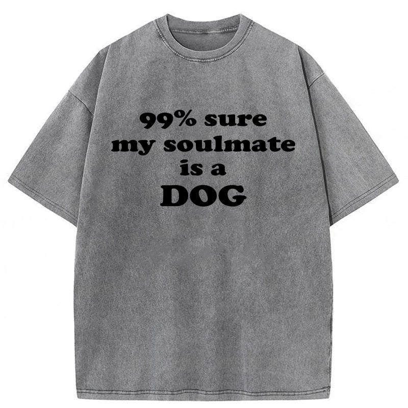99% Sure My Soulmate Is A Dog Washed Unisex Tee