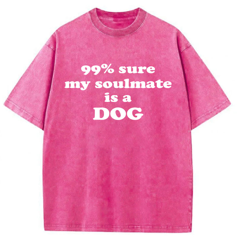 99% Sure My Soulmate Is A Dog Washed Unisex Tee