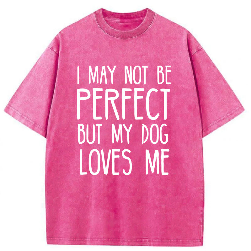 I May Not Be Perfect Washed Unisex Tee