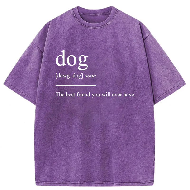 Dog The Best Friend You Will Ever Have Washed Unisex Tee