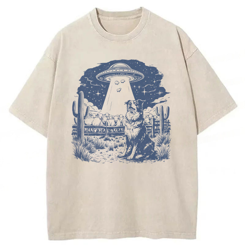 Border Collie Washed Unisex Tee