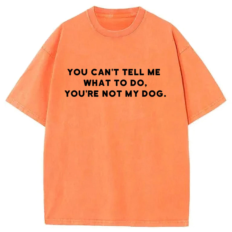 You Can't Tell Me What To Do Washed Unisex Tee