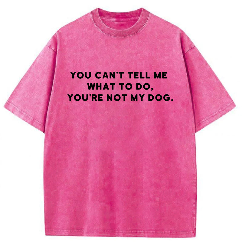 You Can't Tell Me What To Do Washed Unisex Tee