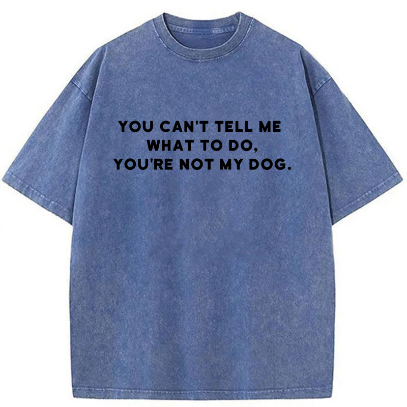 You Can't Tell Me What To Do Washed Unisex Tee